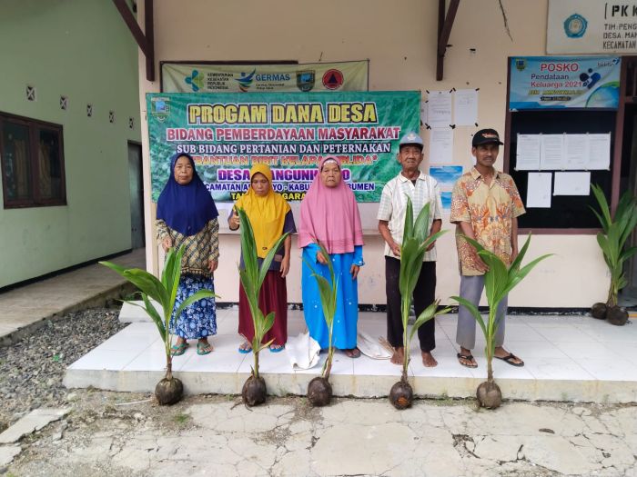 BANTUAN BIBIT KELAPA HIBRIDA PROGRAM DANA DESA 01