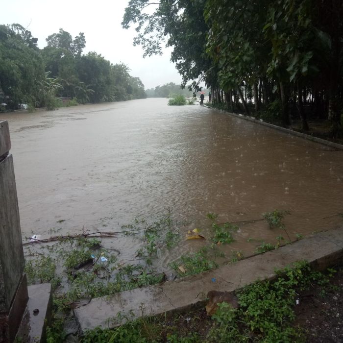 MANGUNHARJO BANJIR  02