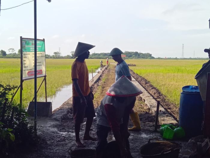 PEMBANGUNAN TALUD JALAN USAHA TANI RW 01 RT 01 01