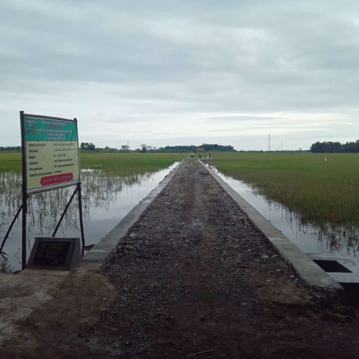 PEMBANGUNAN TALUD JALAN USAHA TANI RW 01 RT 01 02