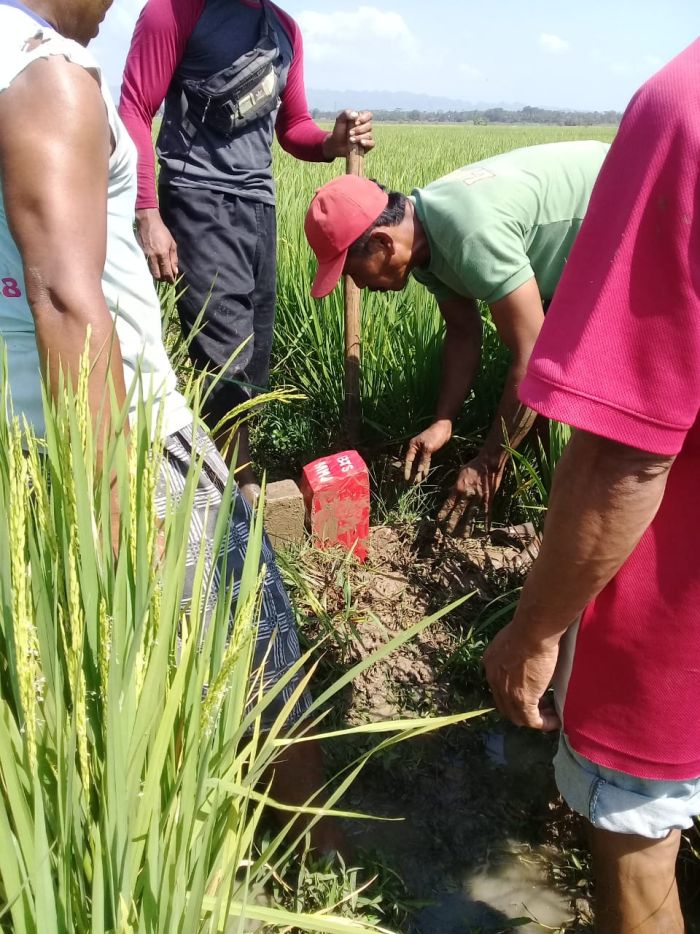 PEMASANGAN PATOK BATAS DESA MANGUNHARJO 01