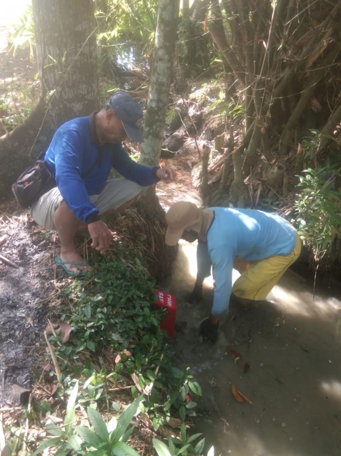 PEMASANGAN PATOK BATAS DESA MANGUNHARJO 02