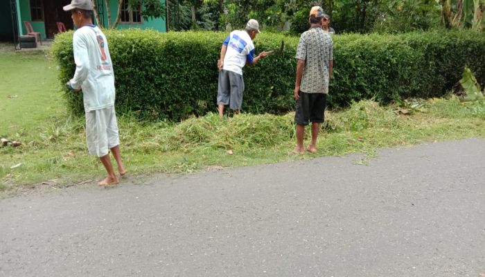 GERMAS PSN ( PEMBRERANTASAN SARANG NYAMUK ) DI DESA MANGUNHARJO 03