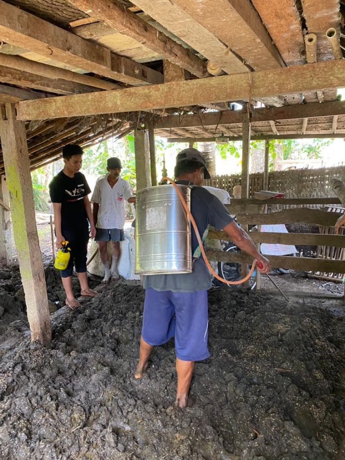 Produksi Kompos Pupuk Organik Bokashi dusun Duduhan Bersama Mahasiswa KKN UMY Kelompok 46 01