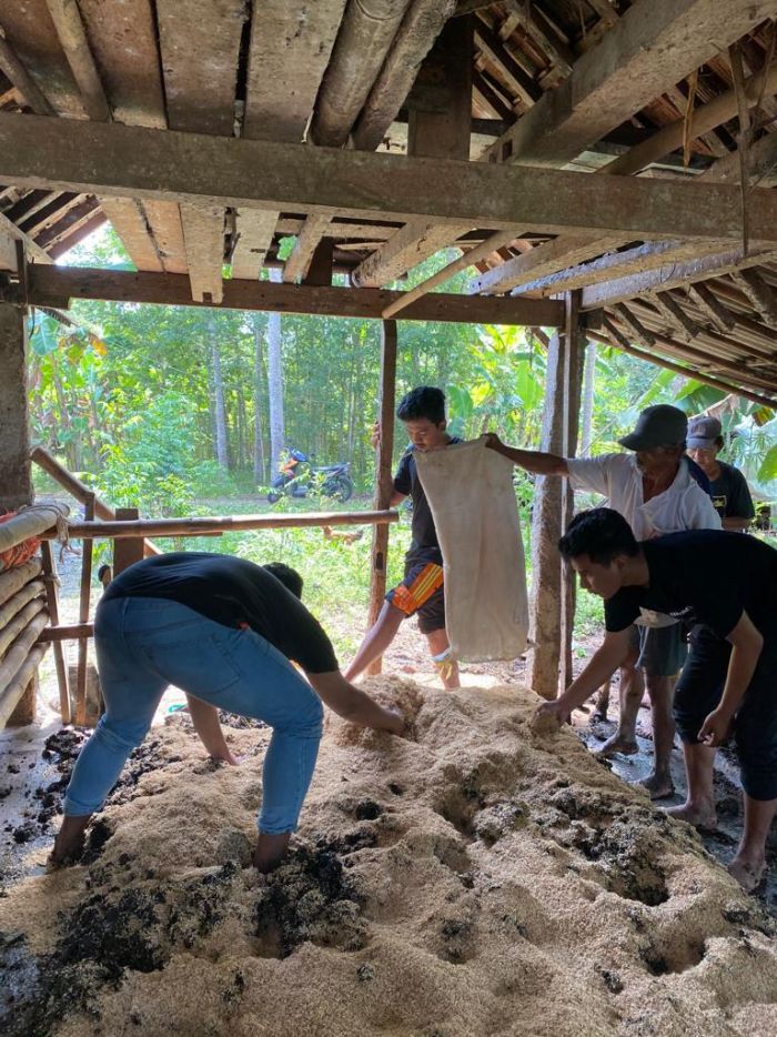 Produksi Kompos Pupuk Organik Bokashi dusun Duduhan Bersama Mahasiswa KKN UMY Kelompok 46 02