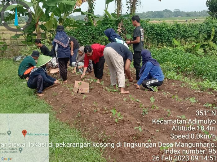 PELATIHAN PEMANFAATAN LAHAN  TEKNIK MICROGREEN 01