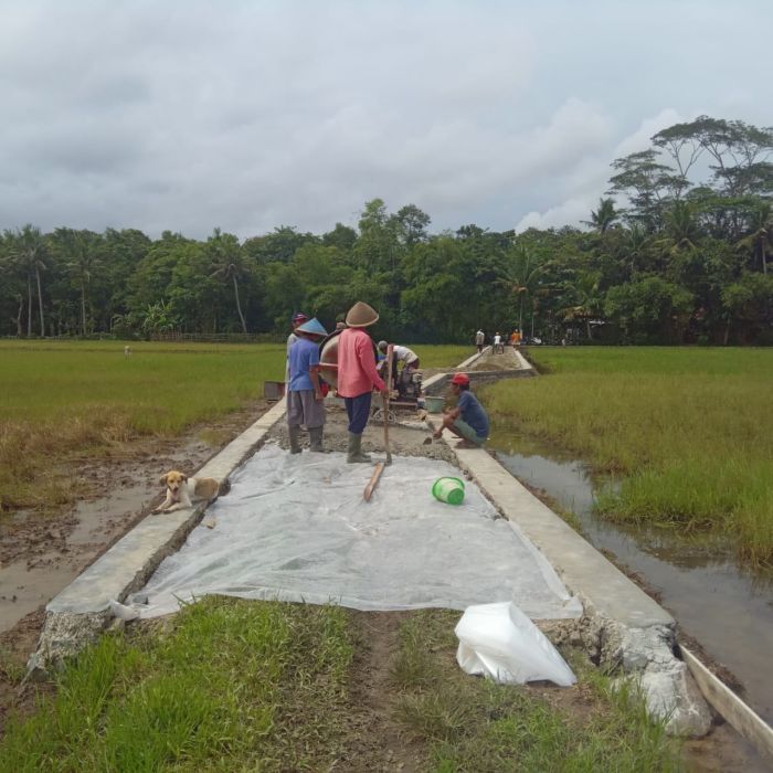 PEMBANGUNAN BANTUAN PC RABAT BETON JALAN USAHA TANI RW 01